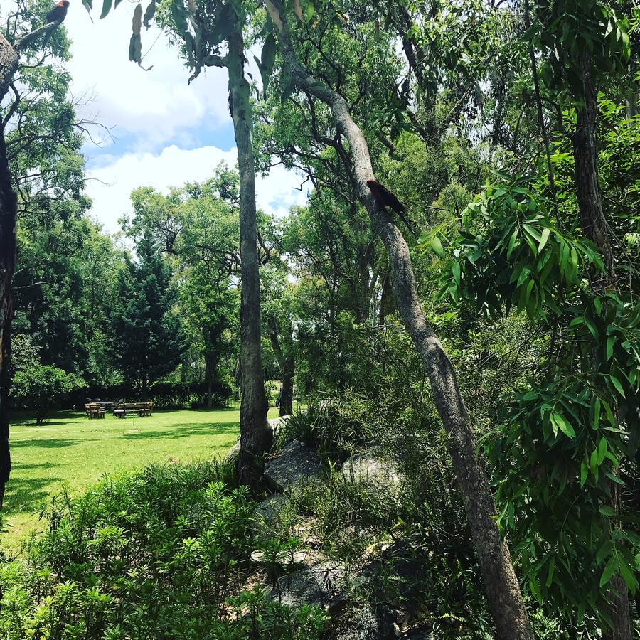 Honeysuckle Cottages Stanthorpe Bagian luar foto